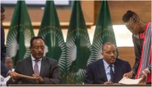Fallouts Of Pretoria Could Likely Lead a Proxy Warfare In Tigray
