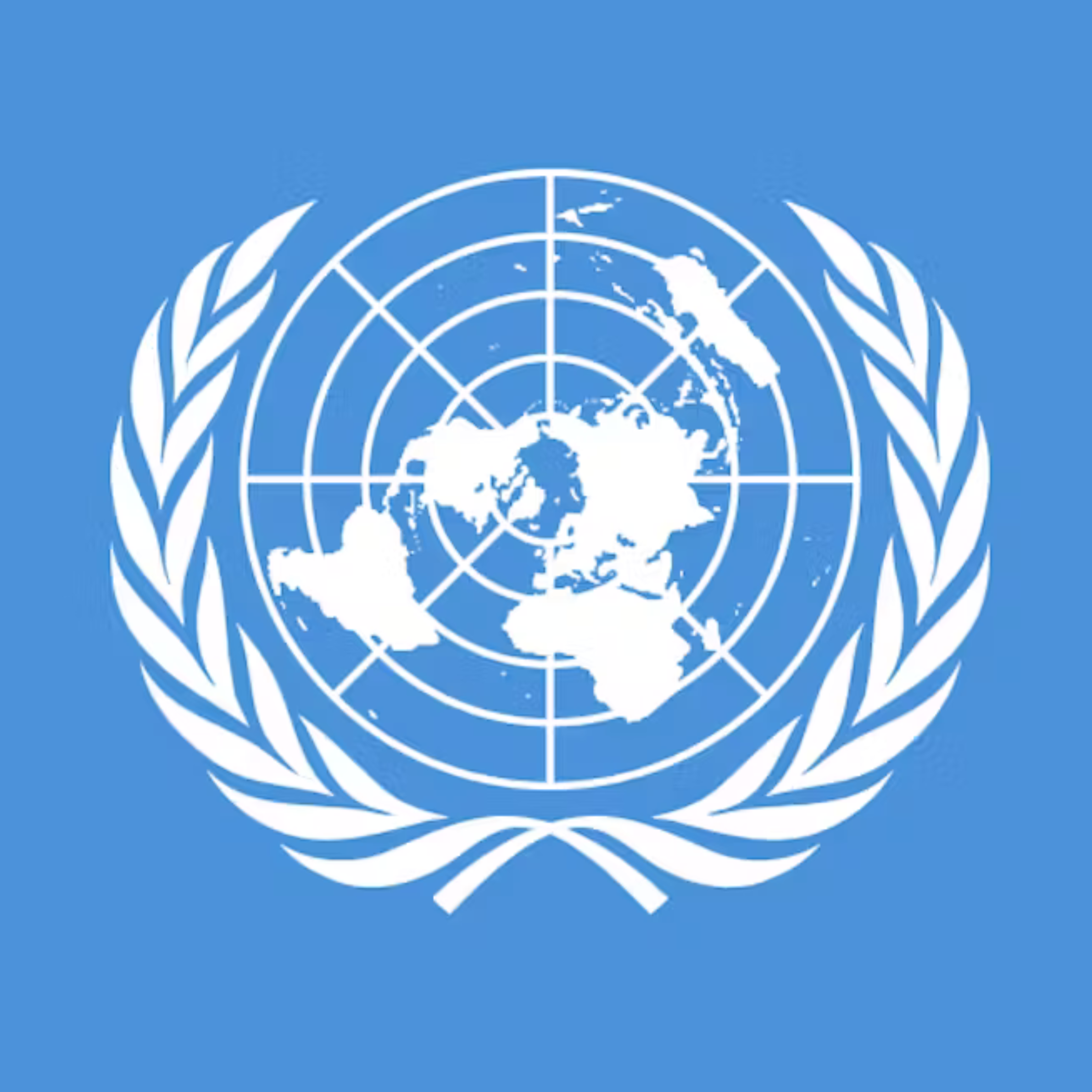 New York Declaration on Israel and Palestine