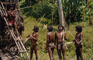 the great nicobar project and the shompen tribes