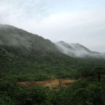 The Vanishing Forest Workforce: How Changing Forest Policies are affecting rural livelihoods in Uttarakhand