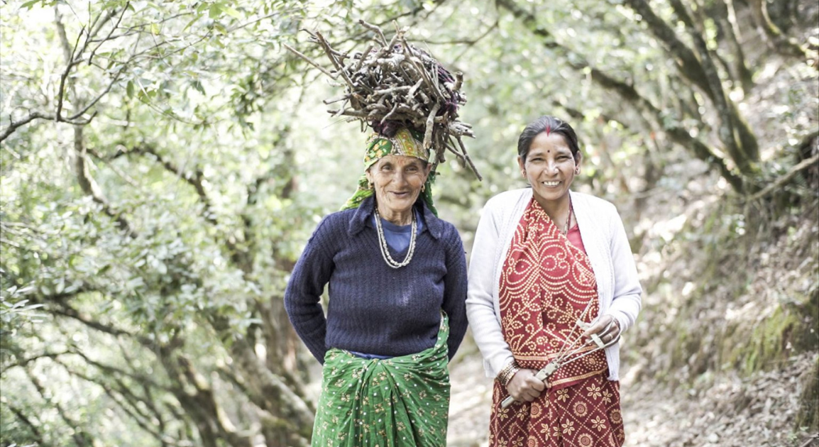 Forest dwellers are migrating out