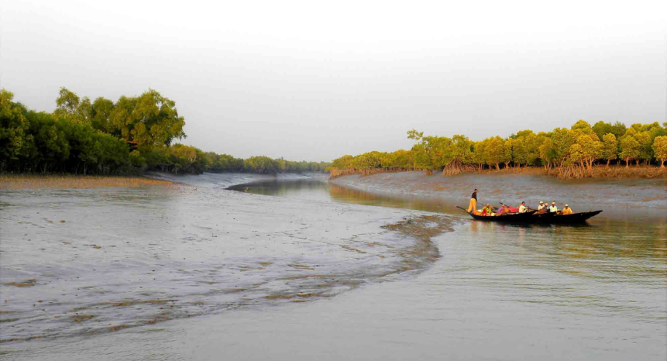 human trafficking in the sunderbans